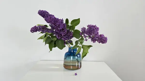 Açık gri duvarlı beyaz bir masada çiçek açan mor leylak dallı mavi ve sarı cam vazo. Küçük bir leylak çiçeği buketin altında yatıyor. Minimalist bahar dekorasyon fotoğrafı. Dikey fotoğraf.. 