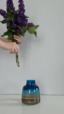 Mor eflatun dalları, açık gri duvarlı beyaz bir masanın üzerindeki mavi ve sarı cam bir vazoya yerleştirmek. Dikey videoda minimalist çiçek düzenleme.