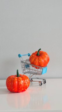 İçinde sahte bir balkabağı olan mini alışveriş arabası ve bir diğeri de sonbaharın, hasat mevsiminin ve neşeli bir hayatın şenlik hazırlıklarının samimi bir sembolü..