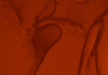 Blood Spatter Red. Watercolor Valentine Wallpaper. Bloody Horror Design. Splash of Liquid Ink. Blood Spatter Black. Watercolour Background. Stain of Maroon Paint. Blood Splatter Red.