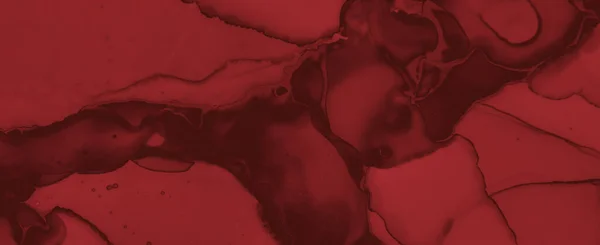 Grunge Blood Background Rose Fluid Banner Horror Splatter Black Watercolour — Stock Photo, Image
