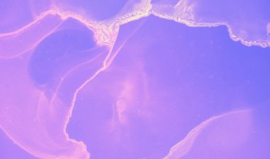 Grafik Sıvı Şablonu. Pembe Suluboya Modern Su Sıçratma. Neon Petrol Tasarımı. Mor Grafik Mürekkep Gradyanı. Gelecekçi Minimum Duvar. Mavi Neon yağı deseni. Soyut Mürekkep İllüstrasyonu.