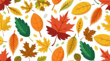 Yaprak ve böğürtlenli sonbahar animasyonu. Yaprak desenli animasyonlu sonbahar sezonu. Sonbahar dekoratif animasyon. Kusursuz ve döngülü animasyon