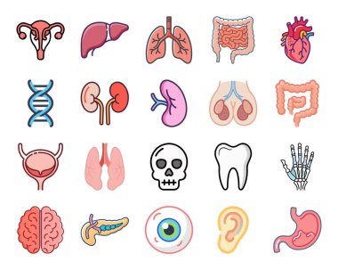 Vektör iç organları Icon set çizgi film