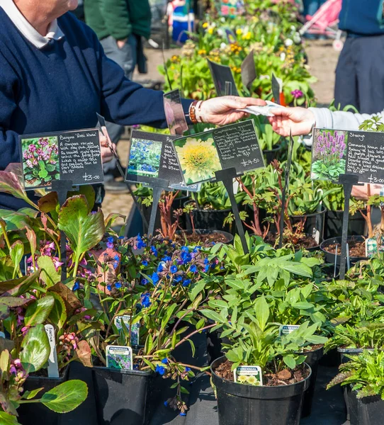 Baharda açık hava satışında çeşitli bitkiler satılıyor..