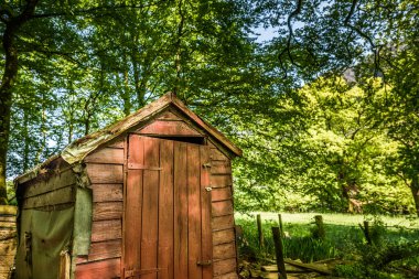 Eski, terk edilmiş bir bahçe ormanlık bir bahçenin ortasında..