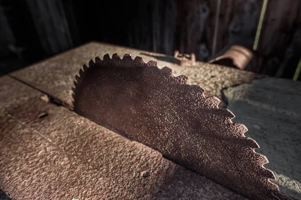 Terk edilmiş bir atölyede eski, paslı bir testere bıçağı..