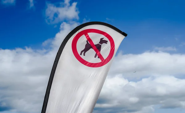 Plajda uçan köpek yok..