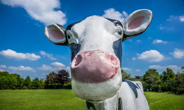 A model of a cow taken closeup for comic effect.