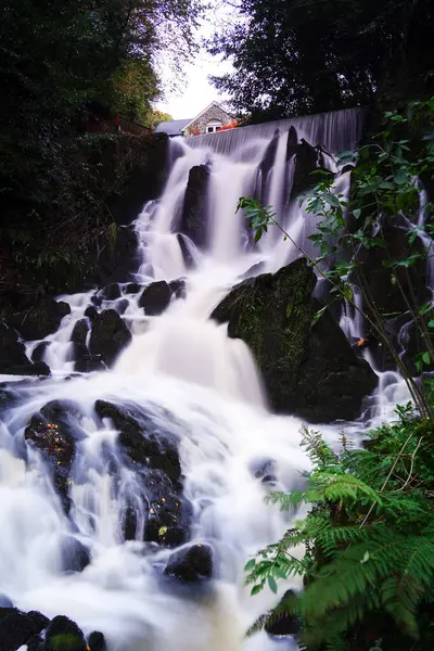 Long exposure photograph of Waterfall in Crawfordsburn Country Park, County Down, Northern Ireland
