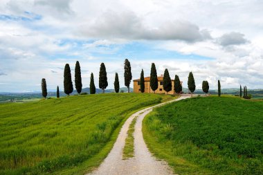 Selvi ve yollu Toskana manzarası, İtalya