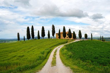 Tuscany landscape with cypresses and road, Italy clipart