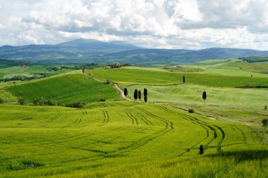 İtalya, Val d Orcia 'da yeşil tepeli ve köy yolu olan Toskana manzarası