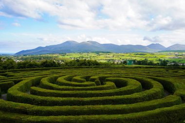 Kuzey İrlanda, Castlewellan 'daki Barış Labirenti' nin arka planında Mourne Dağları var.
