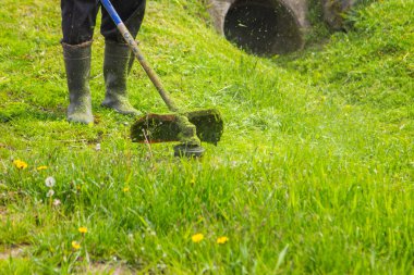 Bir adam bahçede elektrikli testereyle çimleri biçiyor. Bahçıvan çim biçme makinesiyle çim biçiyor..