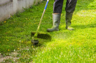 Bir adam bahçede elektrikli testereyle çimleri biçiyor. Bahçıvan çim biçme makinesiyle çim biçiyor..