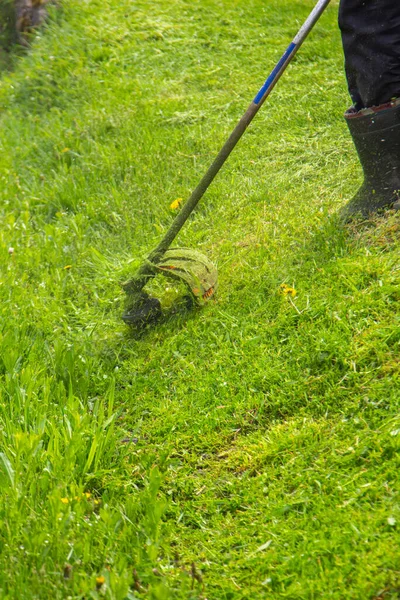 Man Mows Grass Chainsaw Yard Gardener Mowing Grass String Lawn — Stock Photo, Image