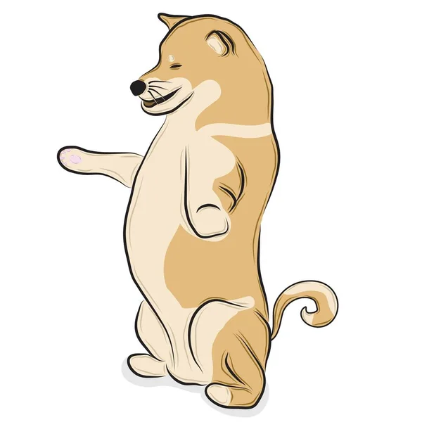 Illustration Shiba Inu Dog — Stock Vector