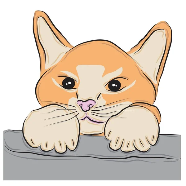 Ilustrace Roztomilé Kočky — Stockový vektor