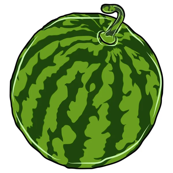 Vektorillustration Oder Illustrator Von Wassermelonenfruchtes Ist Ein Bild Das Sich — Stockvektor