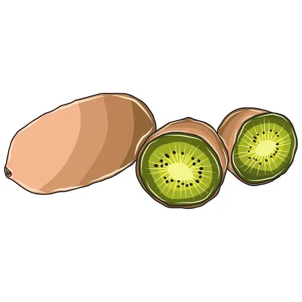 Verde Kiwi Vector Fruta Imagen Ilustrador — Vector de stock