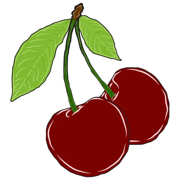 Rouge Fruit Cerise Fruit Vecteur Image — Image vectorielle