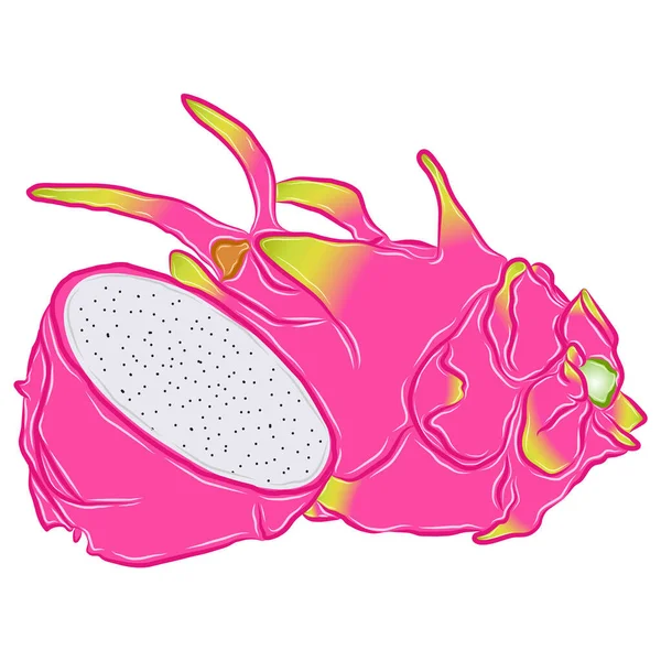 vektör resmi ejderha meyvesi