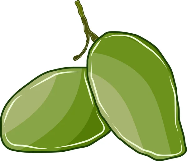 Dwa Zielone Owoce Mango Razem — Wektor stockowy