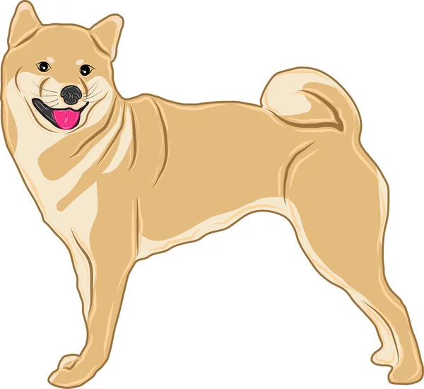 Una Imagen Vectorial Ilustración Una Raza Perros Shiba Inu También — Vector de stock