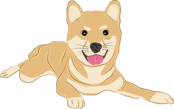 Векторное Изображение Иллюстрация Шиба Ину Собаки Лежащей Улыбающейся Торчащей Своего — стоковый вектор