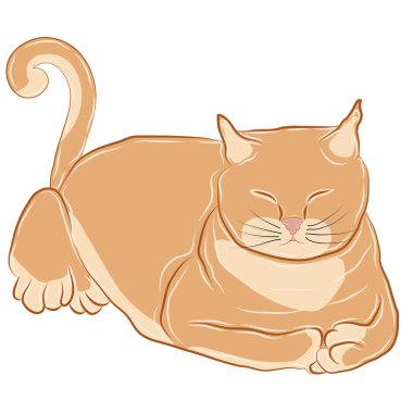 Turuncu kedi mutlu bir şekilde uyuyor..