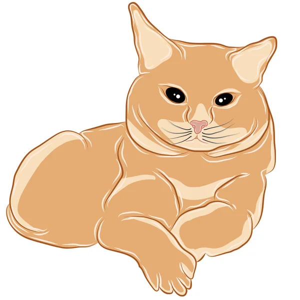 İleriye bakan bir turuncu kedinin görüntüsü ya da vektörü.