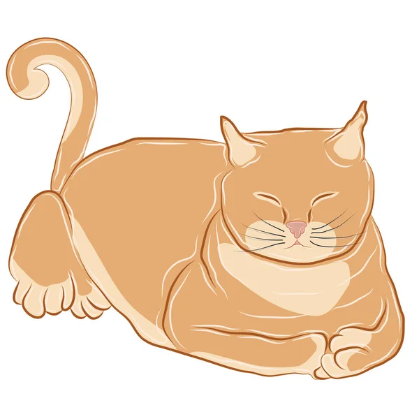 Turuncu kedi mutlu bir şekilde uyuyor..