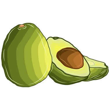 Olgun meyve avokadoları ikiye bölünür..