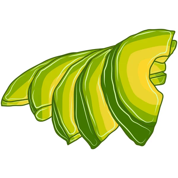 Reife Frucht Avocado Stücke Geschnitten — Stockvektor