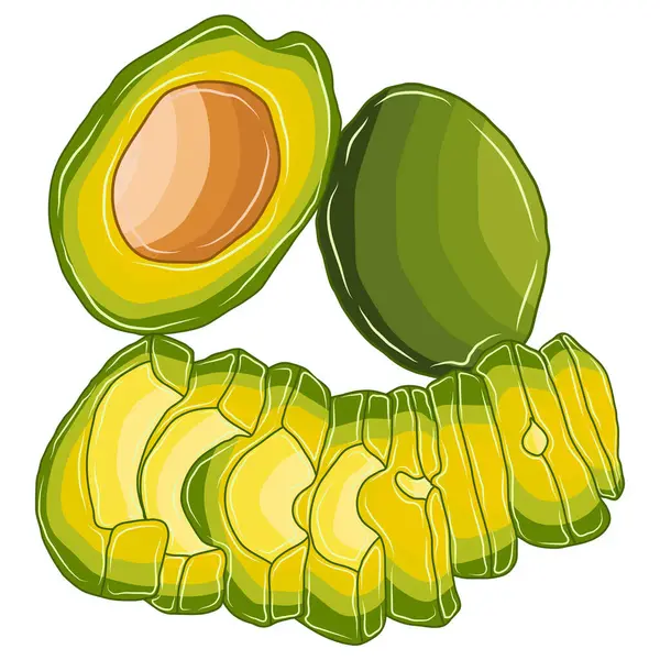 Die Grüne Frucht Avocado Wird Halbiert Und Scheiben Geschnitten — Stockvektor