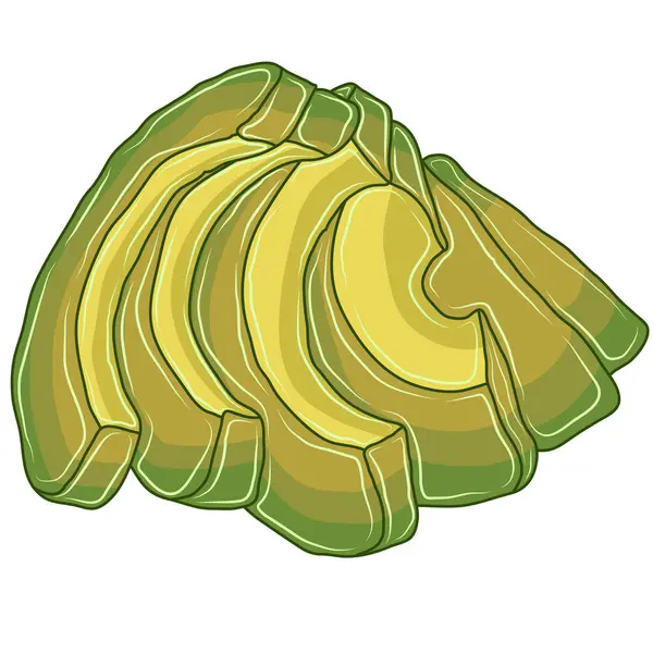 Авокадо Зеленые Фрукты Желтыми Внутренностями Разрезаны Мелкие Кусочки — стоковый вектор