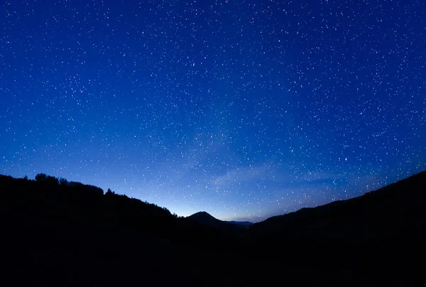 Csillagos Éjszakai Égboltéjszakai Égbolt Lucfenyők Tetején Erdőben — Stock Fotó