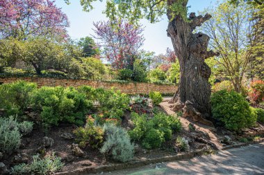 Bahçe, bahçe ve çiçek tarlaları..