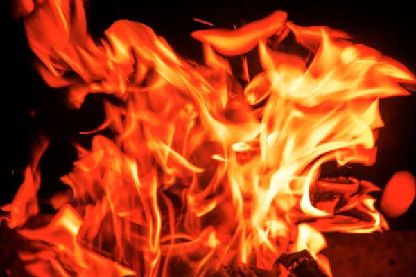 Campfire Flame Close Burning Campfire Fire — Stock Photo, Image