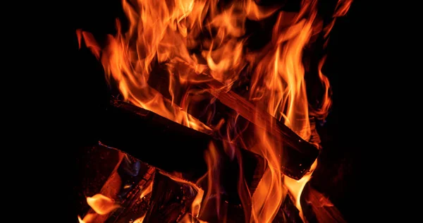 Campfire flame close up. Burning campfire fire.