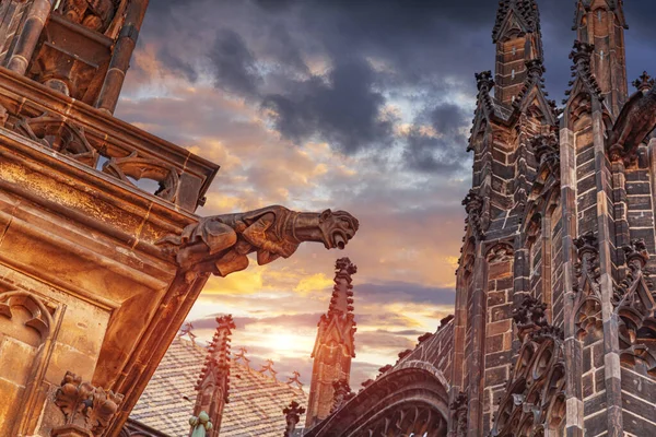Çek Cumhuriyeti Prag Daki Saint Vitus Katedrali Prag Kaledeki Vitus — Stok fotoğraf
