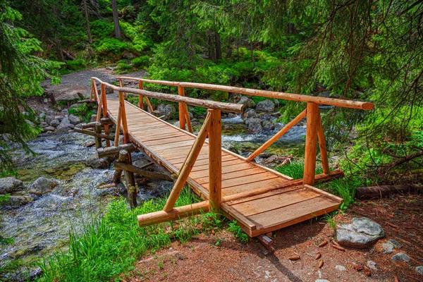 森の中の山の川を渡って木製の橋 タトラ スロバキア — ストック写真