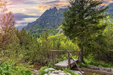 Ormandaki bir dağ nehrinin üzerindeki tahta köprü. Tatras, Slovakya.