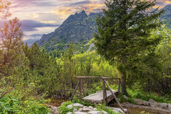 Pont Bois Sur Une Rivière Montagne Dans Forêt Tatras Slovaquie — Photo