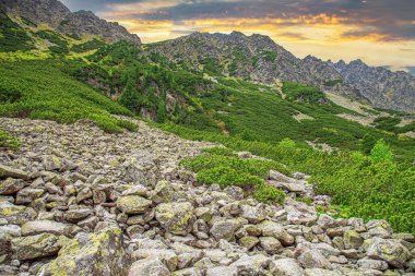 High Tatras 'taki Rocky Dağları. Slovakya Cumhuriyeti. Avrupa