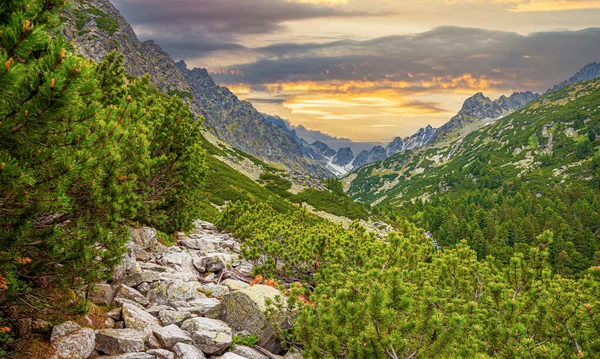 Βραχώδη Όρη Στα Όρη Τάτρα Σλοβακική Δημοκρατία Ευρώπη — Φωτογραφία Αρχείου