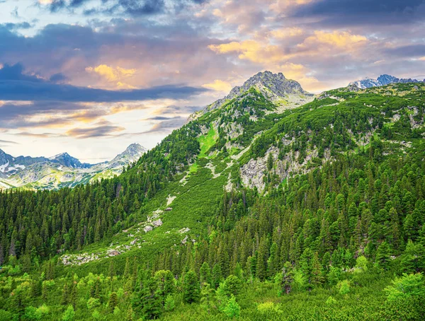 Rocky Mountains Hoge Tatra Slowaakse Republiek Europa — Stockfoto