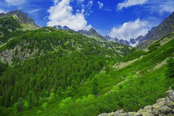 Góry Skaliste Tatrach Wysokich Republika Słowacka Europa — Zdjęcie stockowe