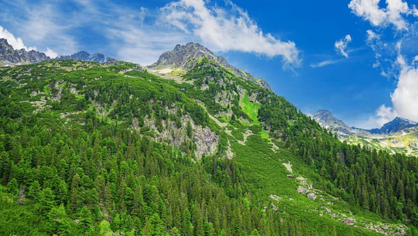 Rocky Mountains High Tatras République Slovaque Europe — Photo